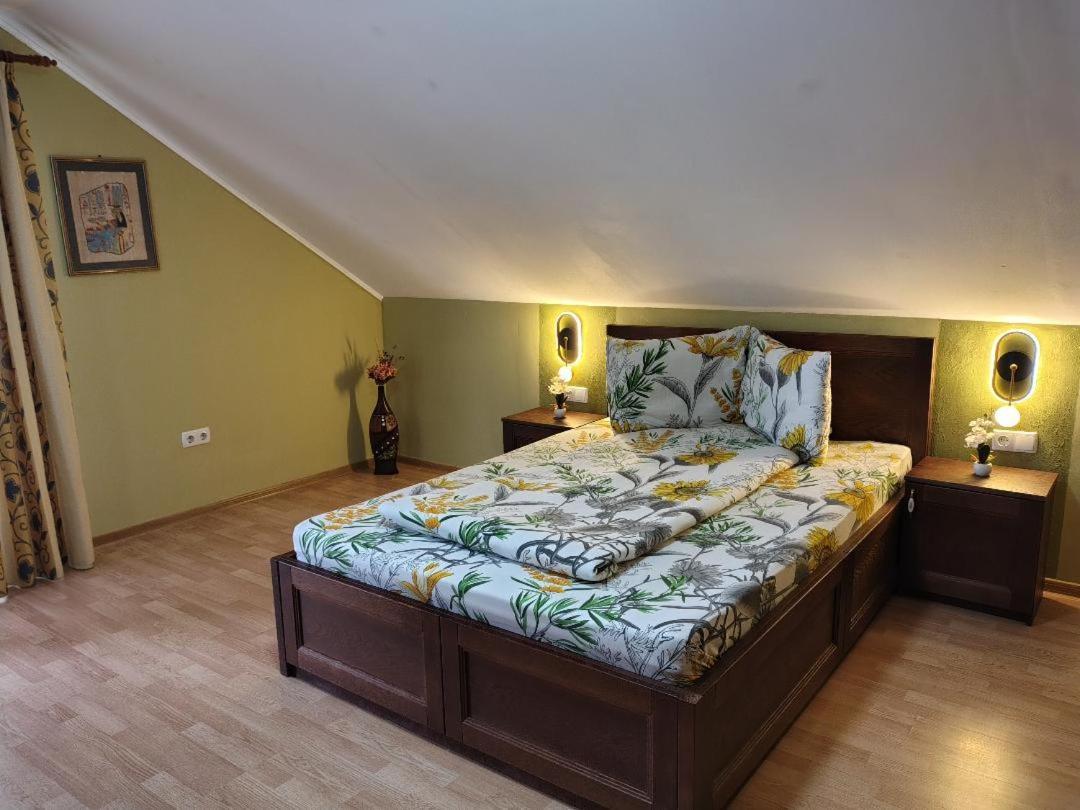 Vis Pension Viile Satu Mare Exterior foto