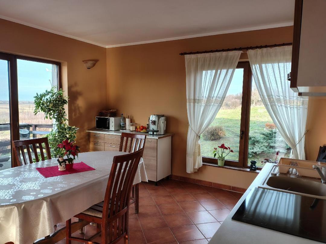Vis Pension Viile Satu Mare Exterior foto